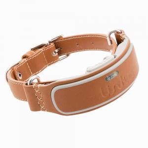 Link AKC Smart Dog Collar